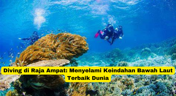 Diving di Raja Ampat Menyelami Keindahan Bawah Laut Terbaik Dunia