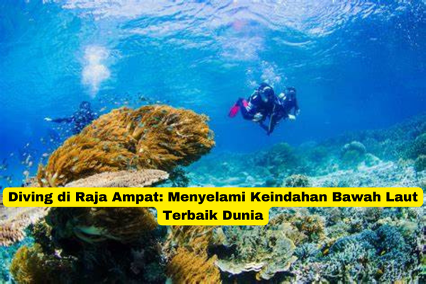 Diving di Raja Ampat Menyelami Keindahan Bawah Laut Terbaik Dunia