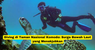 Diving di Taman Nasional Komodo Surga Bawah Laut yang Menakjubkan