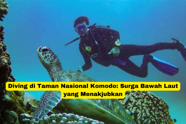 Diving di Taman Nasional Komodo Surga Bawah Laut yang Menakjubkan