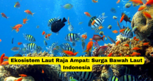 Ekosistem Laut Raja Ampat Surga Bawah Laut Indonesia