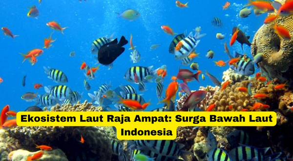 Ekosistem Laut Raja Ampat Surga Bawah Laut Indonesia