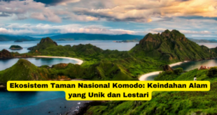 Ekosistem Taman Nasional Komodo Keindahan Alam yang Unik dan Lestari