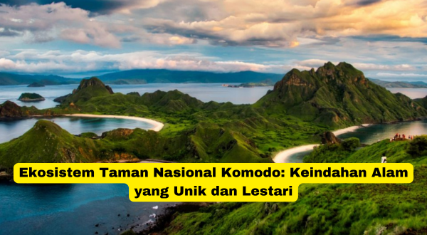 Ekosistem Taman Nasional Komodo Keindahan Alam yang Unik dan Lestari