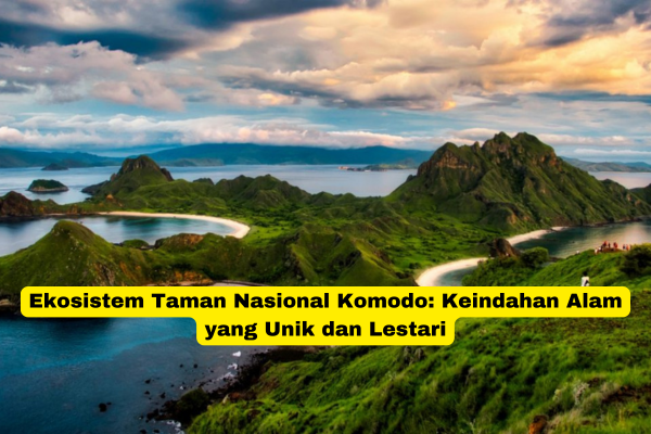 Ekosistem Taman Nasional Komodo Keindahan Alam yang Unik dan Lestari