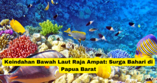 Keindahan Bawah Laut Raja Ampat Surga Bahari di Papua Barat