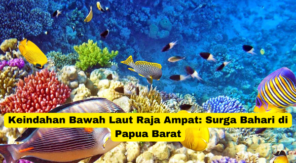 Keindahan Bawah Laut Raja Ampat Surga Bahari di Papua Barat