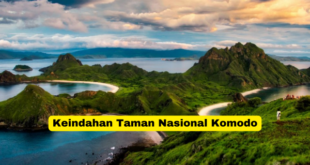 Keindahan Taman Nasional Komodo