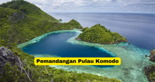 Pemandangan Pulau Komodo