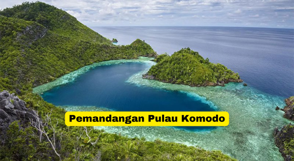 Pemandangan Pulau Komodo