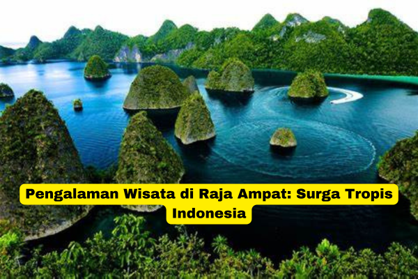 Pengalaman Wisata di Raja Ampat Surga Tropis Indonesia