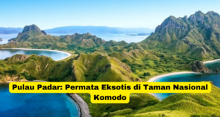 Pulau Padar Permata Eksotis di Taman Nasional Komodo