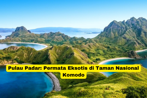 Pulau Padar Permata Eksotis di Taman Nasional Komodo