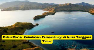 Pulau Rinca Keindahan Tersembunyi di Nusa Tenggara Timur