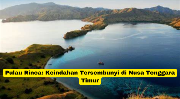 Pulau Rinca Keindahan Tersembunyi di Nusa Tenggara Timur