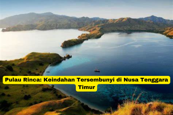 Pulau Rinca Keindahan Tersembunyi di Nusa Tenggara Timur