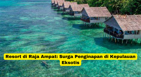 Resort di Raja Ampat Surga Penginapan di Kepulauan Eksotis