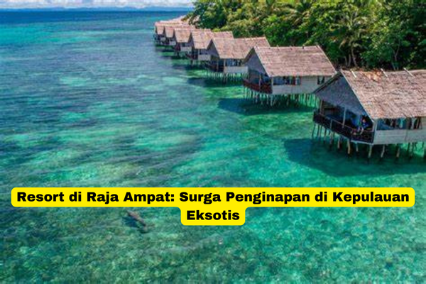 Resort di Raja Ampat Surga Penginapan di Kepulauan Eksotis