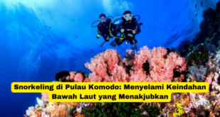 Snorkeling di Pulau Komodo Menyelami Keindahan Bawah Laut yang Menakjubkan