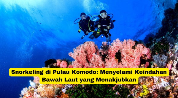 Snorkeling di Pulau Komodo Menyelami Keindahan Bawah Laut yang Menakjubkan