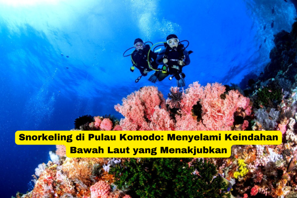 Snorkeling di Pulau Komodo Menyelami Keindahan Bawah Laut yang Menakjubkan