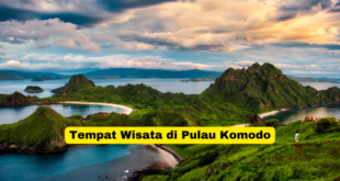 Tempat Wisata di Pulau Komodo