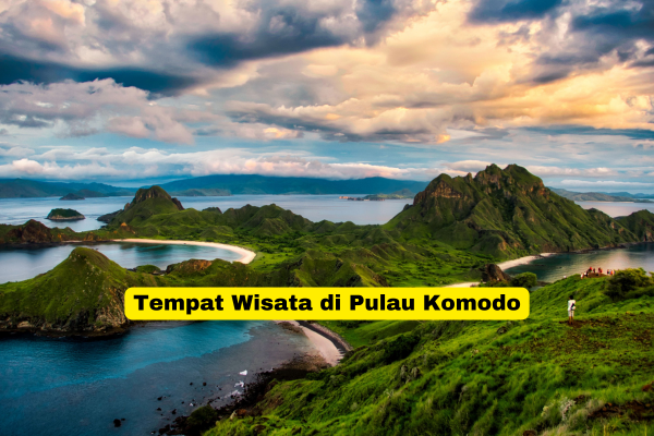 Tempat Wisata di Pulau Komodo