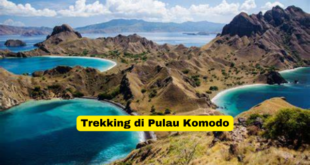 Trekking di Pulau Komodo