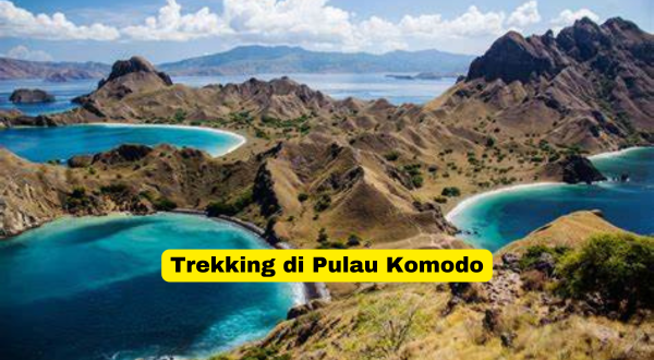 Trekking di Pulau Komodo