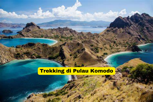 Trekking di Pulau Komodo