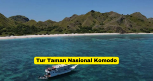 Tur Taman Nasional Komodo