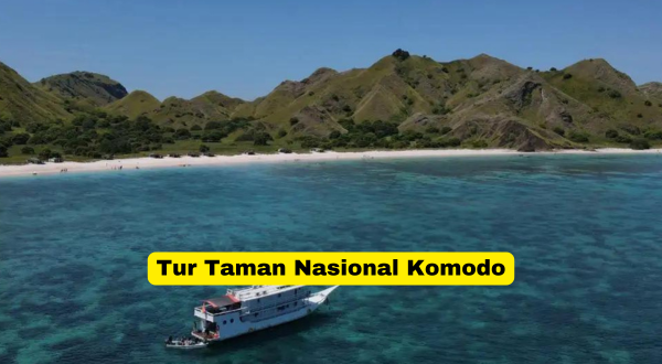 Tur Taman Nasional Komodo