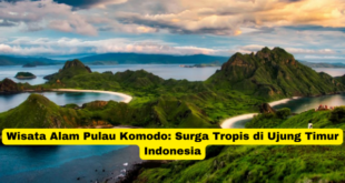 Wisata Alam Pulau Komodo Surga Tropis di Ujung Timur Indonesia