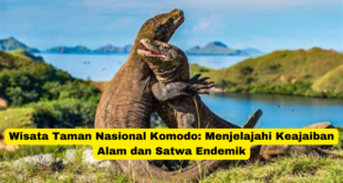 Wisata Taman Nasional Komodo Menjelajahi Keajaiban Alam dan Satwa Endemik