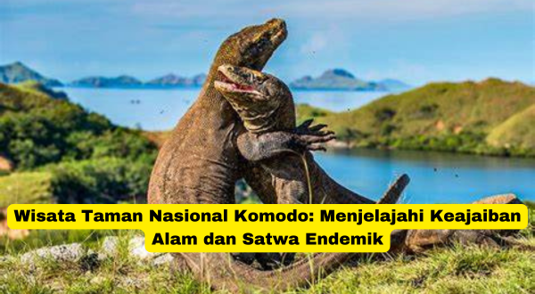 Wisata Taman Nasional Komodo Menjelajahi Keajaiban Alam dan Satwa Endemik