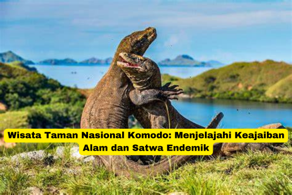 Wisata Taman Nasional Komodo Menjelajahi Keajaiban Alam dan Satwa Endemik