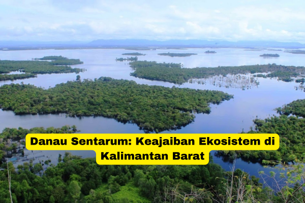 Danau Sentarum Keajaiban Ekosistem di Kalimantan Barat