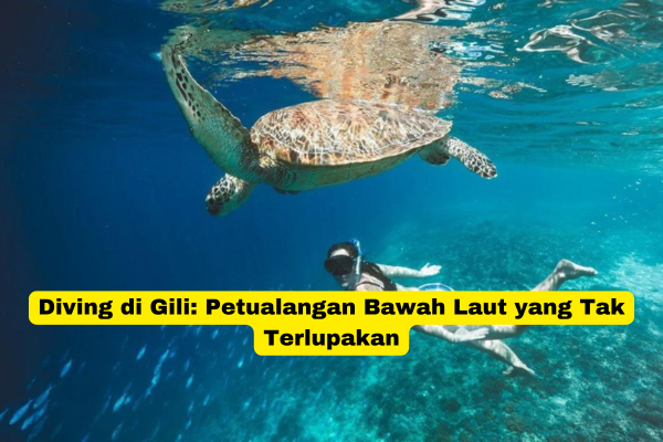 Diving di Gili Petualangan Bawah Laut yang Tak Terlupakan