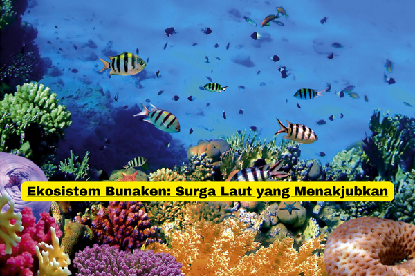 Ekosistem Bunaken Surga Laut yang Menakjubkan