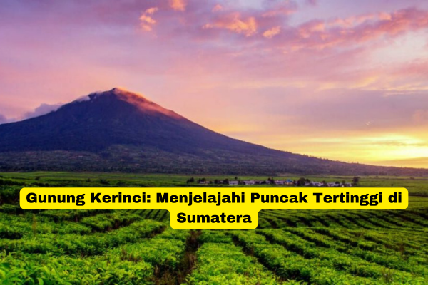 Gunung Kerinci Menjelajahi Puncak Tertinggi di Sumatera