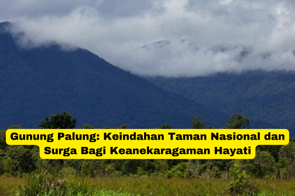 Gunung Palung Keindahan Taman Nasional dan Surga Bagi Keanekaragaman Hayati