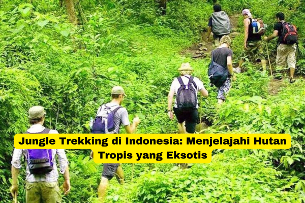 Jungle Trekking di Indonesia Menjelajahi Hutan Tropis yang Eksotis