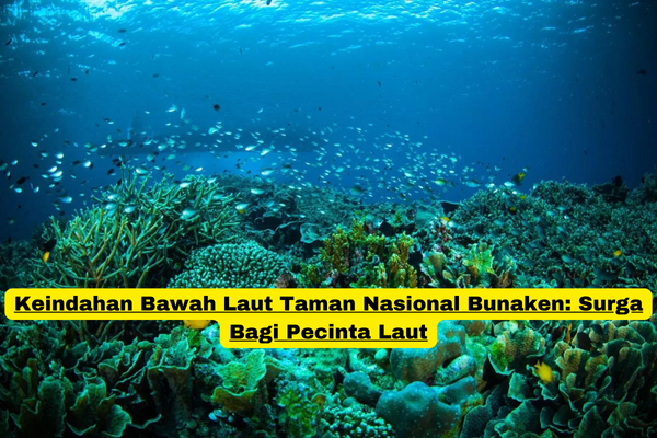 Keindahan Bawah Laut Taman Nasional Bunaken Surga Bagi Pecinta Laut