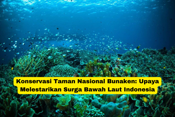 Konservasi Taman Nasional Bunaken Upaya Melestarikan Surga Bawah Laut Indonesia