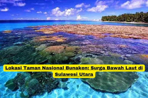 Lokasi Taman Nasional Bunaken Surga Bawah Laut di Sulawesi Utara