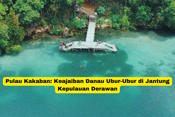 Pulau Kakaban Keajaiban Danau Ubur-Ubur di Jantung Kepulauan Derawan