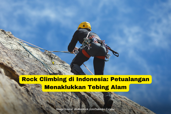 Rock Climbing di Indonesia Petualangan Menaklukkan Tebing Alam