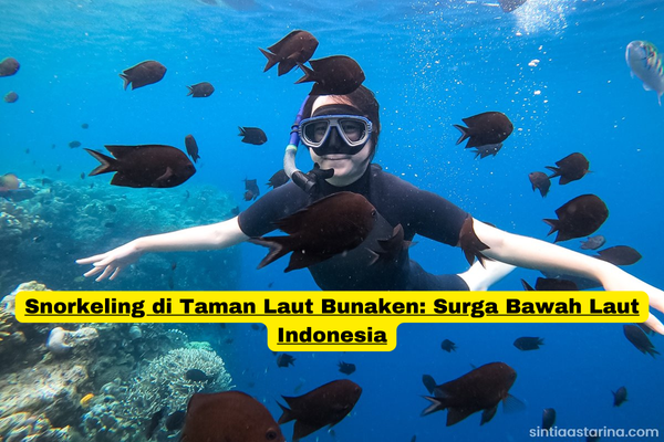 Snorkeling di Taman Laut Bunaken Surga Bawah Laut Indonesia