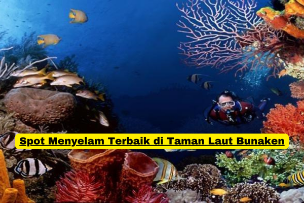 Spot Menyelam Terbaik di Taman Laut Bunaken