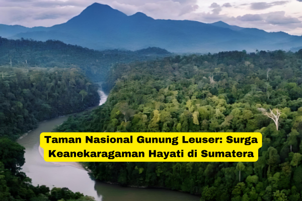 Taman Nasional Gunung Leuser Surga Keanekaragaman Hayati di Sumatera